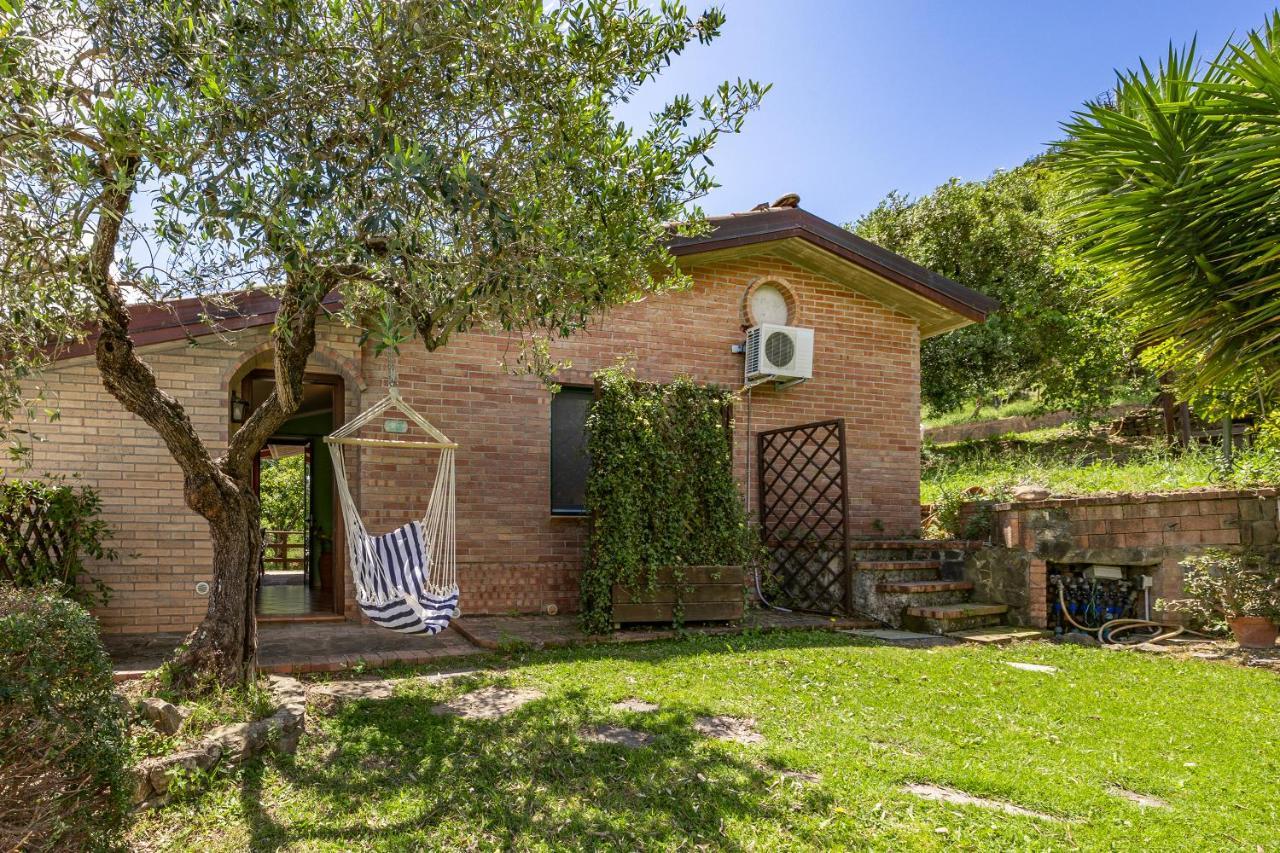 Vineyard Dependance With Shared Pool - Happy Rentals Casal Velino Eksteriør billede