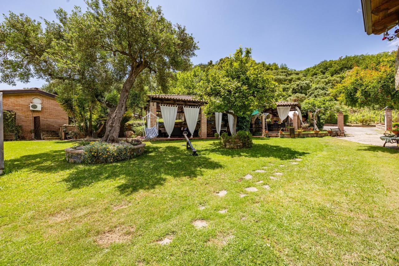 Vineyard Dependance With Shared Pool - Happy Rentals Casal Velino Eksteriør billede